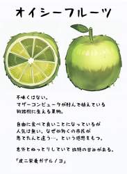 255325 B