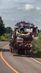 1686184 B