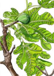 105114 B