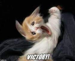 7034 B