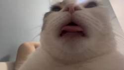 524959 B