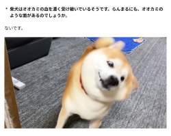 124019 B