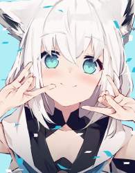 116629 B
