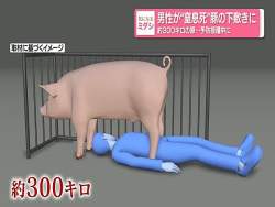 55729 B