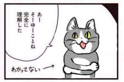 75313 B