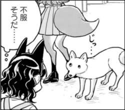 77098 B