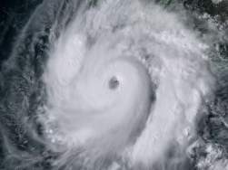 1257071 B