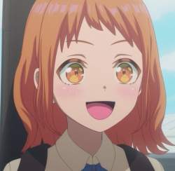 49794 B