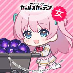64717 B