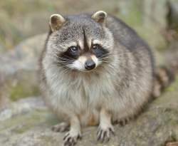 138946 B