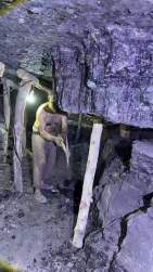 3023729 B