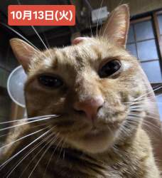 1609691 B