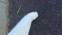 2986051 B