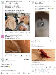 428682 B