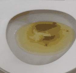 16958 B