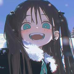 24113 B