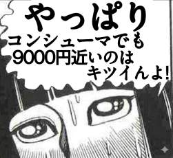 195013 B