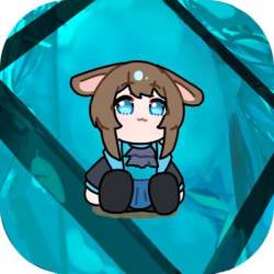 24506 B