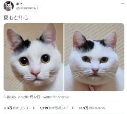 25554 B