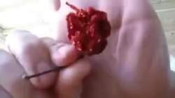 2510145 B
