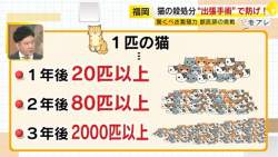 75269 B