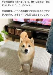 2333823 B