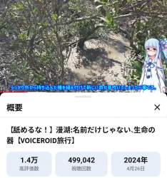1428331 B