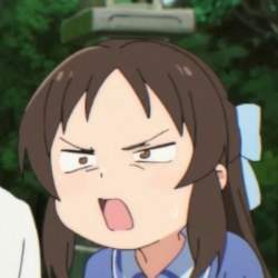 20566 B