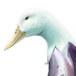 208619 B