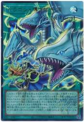 77884 B