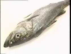 2003011 B