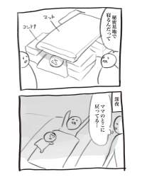 254878 B