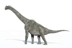 40711 B