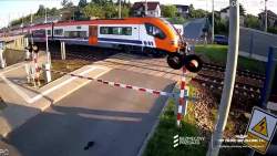 2928396 B