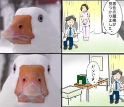 279825 B
