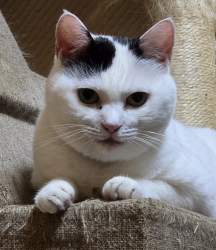 583393 B