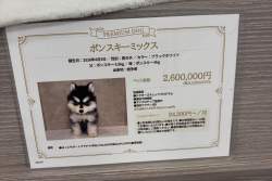 2049423 B