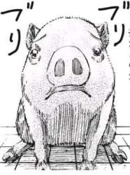 66728 B
