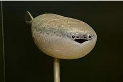 25882 B