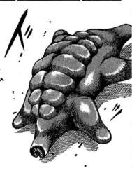 57456 B