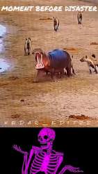 2958336 B