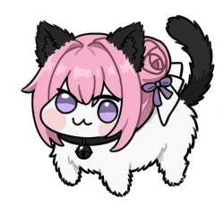 177233 B