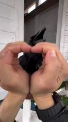 2904412 B