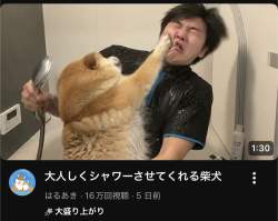 56751 B