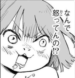 32553 B