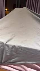 2975027 B