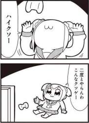 44461 B