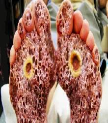 220106 B