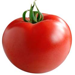 30883 B