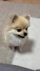 1395991 B